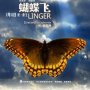 Linger - Affiche du 02/04/2008
