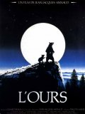 L'ours