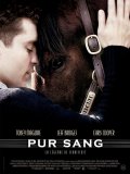 Pur Sang, La Légende de Seabiscuit