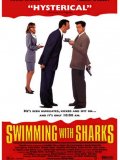 Swimming with Sharks