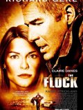 The Flock