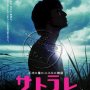 Transparent - Affiche du 03/02/2008