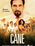 Cane