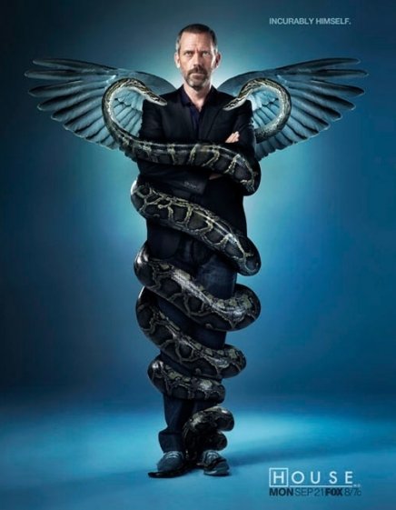 Poster Dr House saison 6