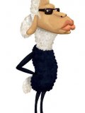 Moot-Moot