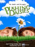 Pushing Daisies