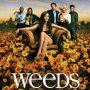 Weeds - Affiche du 19/01/2008