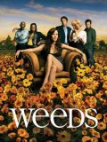 Weeds